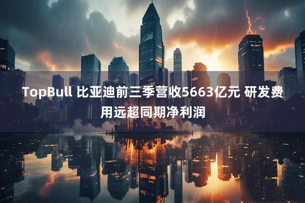 TopBull 比亚迪前三季营收5663亿元 研发费用远超同期净利润