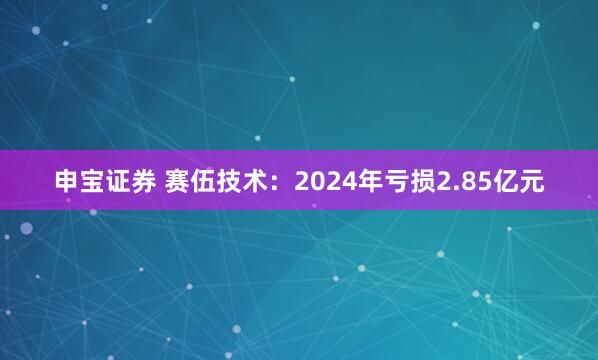 申宝证券 赛伍技术:2024年亏损2.85亿元